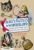 Alice's Puzzles in Wonderland (Hardcover) - Richard Wolfrik Galland Photo