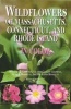 Wildflowers of Massachusetts, Connecticut, and Rhode Island in Color (Hardcover) - William K Chapman Photo