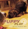 Puppy @ Play (Hardcover) - Kirsty Seymour Ure Photo