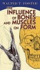 The Influence of Bones and Muscles on Form (Paperback) - Walter T Foster Photo