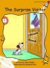 The Surprise Visitor, Level 4 - Fluency (Paperback, International edition) - Pam Holden Photo