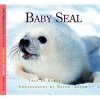 Baby Seal (Hardcover) - Aubrey Lang Photo