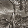 Ancient Trees - Portraits of Time (Hardcover) - Beth Moon Photo