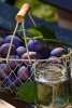 Plums in a Steel Basket, for the Love of Food - Blank 150 Page Lined Journal for Your Thoughts, Ideas, and Inspiration (Paperback) - Unique Journal Photo