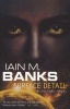 Surface Detail (Paperback) - Iain M Banks Photo