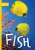 Fish (Hardcover) - Steffi Cavell Clarke Photo