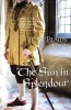 The Sun in Splendour - (Plantagenet Saga) (Paperback) - Jean Plaidy Photo