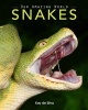 Snakes - Amazing Pictures & Fun Facts on Animals in Nature (Paperback) - Kay De Silva Photo