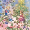 Forest Fairies Christmas Presents Advent Calendar (with Stickers) (Calendar) -  Photo