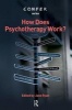 How Does Psychotherapy Work (Paperback, New) - Jane Ryan Photo