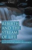 Rebirth and the Stream of Life - A Philosophical Study of Reincarnation, Karma and Ethics (Paperback) - Mikel Burley Photo