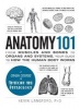 Anatomy 101 - From Muscles and Bones to Organs and Systems, Your Guide to How the Human Body Works (Hardcover) - Kevin Langford Photo