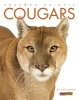 Cougars (Paperback) - Kate Riggs Photo