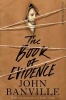 The Book of Evidence - Picador Classic (Paperback, Main Market Ed.) - John Banville Photo