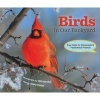 Birds in Our Backyard - Say Hello to Minnesota's Feathered Friends (Hardcover) - Adele Porter Photo