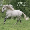 Horses & Ponies Calendar 2017 (Calendar) - Peony Press Photo