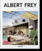 Albert Frey (Hardcover) -  Photo