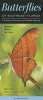 Butterflies of Southeast Florida - A Guide to Common & Notable Species (Poster) - Mark C Minno Photo