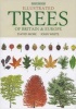 Illustrated Trees of Britain and Northern Europe - A Complete Guide to the Trees of Britain and Northern Europe (Hardcover) - David More Photo