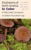 Mushrooms of North America in Color - A Field Guide Companion to Seldom-illustrated Fungi (Hardcover, New) - Alan E Bessette Photo