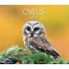 Owls 2017 (Calendar) - Firefly Books Photo