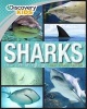 Discovery Kids Sharks - Get Up Close to the Oceans' Most Feared Hunters (Hardcover) - Parragon Photo