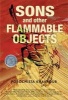 Sons and Other Flammable Objects - A Novel (Paperback) - Porochista Khakpour Photo