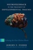 Neurofeedback in the Treatment of Developmental Trauma - Calming the Fear-driven Brain (Hardcover) - Sebern F Fisher Photo