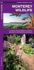 Monterey Wildlife - A Folding Pocket Guide to Familiar Species of the Monterey Peninsula (Pamphlet) - James Kavanagh Photo