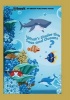 What's Under the Seas and Oceans? (Paperback) - My Ebook Publishing House Photo