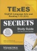 TExES English Language Arts and Reading 7-12 (231) Secrets Study Guide (Paperback) - Texes Exam Secrets Test Prep Team Photo