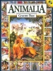 Animalia (Paperback) - Graeme Base Photo