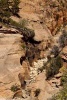 A Dry Creek Bed in Zion National Park, Utah - Blank 150 Page Lined Journal for Your Thoughts, Ideas, and Inspiration (Paperback) - Unique Journal Photo