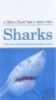 Sharks (Paperback, 1st ed) - Andrea Gibson Photo