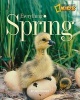 Everything Spring (Paperback) - Jill Esbaum Photo