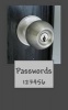 Passwords - 123456 (Paperback) - Barbara Sabet Photo