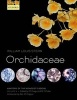 Anatomy of the Monocotyledons Volume X: Orchidaceae (Hardcover) - William Louis Stern Photo