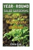 Year- Round Salad Gardening - How to Grow Microgreens at Home (Paperback) - Cora Cox Photo