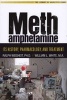 Methamphetamine - Its History, Pharmacology, and Treatment (Paperback) - Ralph A Weisheit Photo