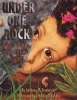 Under One Rock - Bugs, Slugs and Other Ughs (Paperback) - Anthony D Fredericks Photo