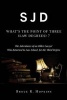 Sjd - What's the Point of Three (Law Degrees)?: The Adventures of an Older Lawyer Who Returned to Law School for the Third Degree (Paperback) - Bruce Hopkins Photo