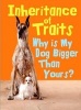 Inheritance of Traits - Why is My Dog Bigger Than Your Dog? (Hardcover) - Jen Green Photo