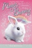 Chocolate Wishes (Paperback) - Sue Bentley Photo