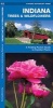 Indiana Trees & Wildflowers - A Folding Pocket Guide to Familiar Species (Pamphlet) - James Kavanagh Photo