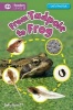 Let's Find Out: Tadpole to Frog (Paperback) - Sally Hewitt Photo