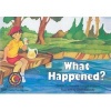 What Happened? (Paperback) - Rozanne Lanczak Williams Photo