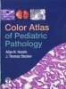 Color Atlas of Pediatric Pathology (Hardcover) - Aliya N Husain Photo