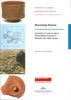 Becoming Roman - Excavation of a Late Iron Age to Roman Landscape at Monkston (Paperback) - Raoul Bull Photo