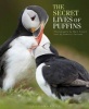 The Secret Lives of Puffins (Hardcover, New) - Dominic Couzens Photo