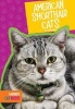 American Shorthair Cats (Hardcover) - Mari C Schuh Photo